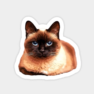 Siamese Cat Sticker